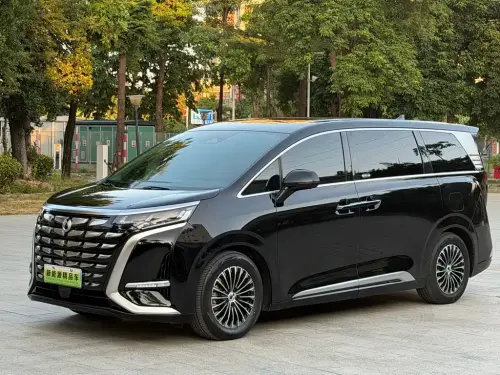 Denza D9, 2024