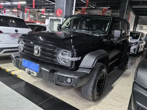 Tank 300, 2021