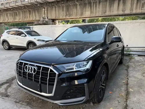 Audi Q7, 2022