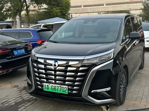 Denza D9, 2023