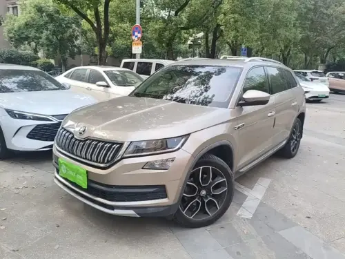 Skoda Kodiaq, 2020