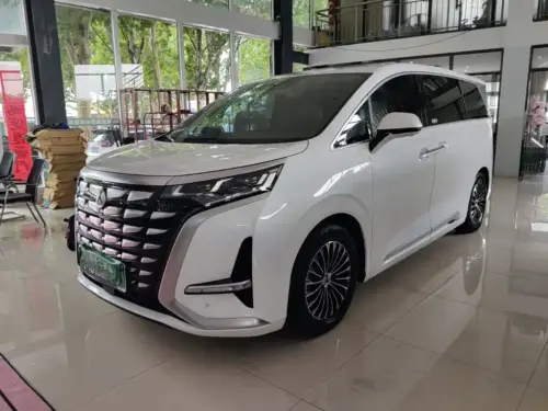 Denza D9, 2023
