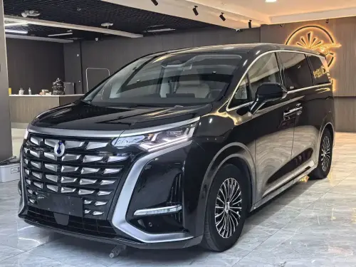 Denza D9, 2025