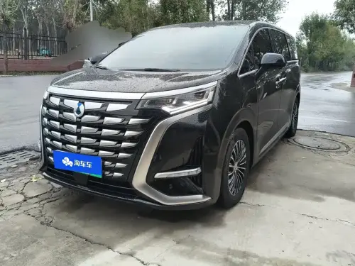 Denza D9, 2024