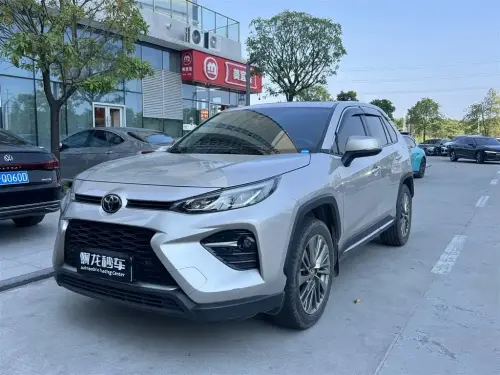 Toyota Wildlander, 2020