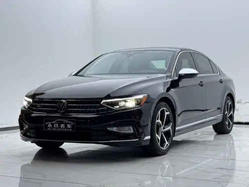 Volkswagen Magotan, 2024