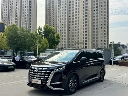 Denza D9, 2024
