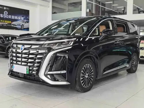 Denza D9, 2025