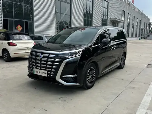 Denza D9, 2025