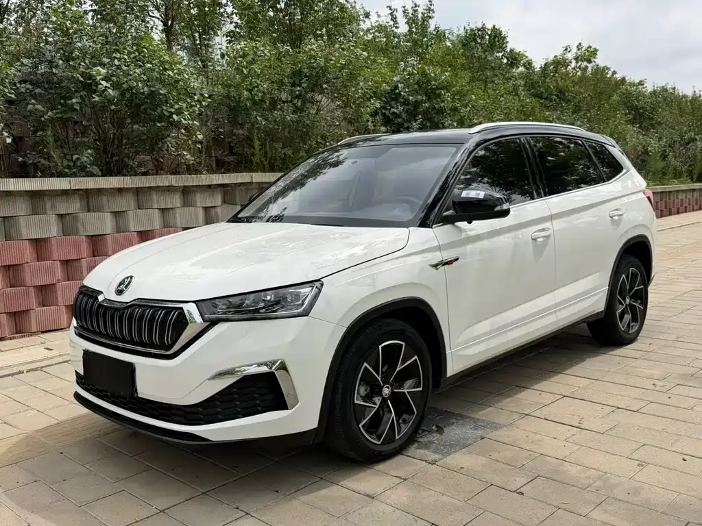 Skoda Kamiq, 2022