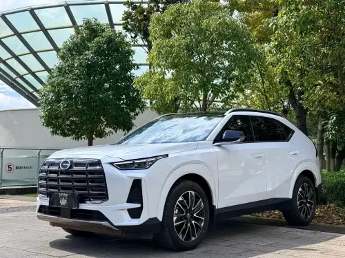 GAC GS4, 2025
