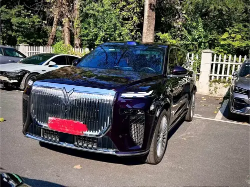 Voyah Taishan, 2025