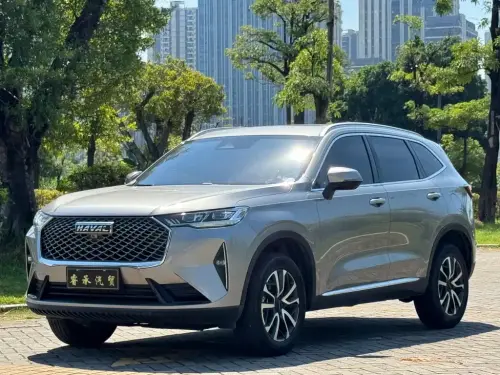 Haval H6, 2024