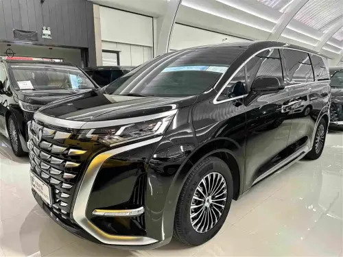 Denza D9, 2025