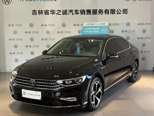 Volkswagen Magotan, 2024