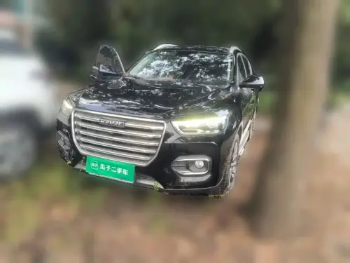 Haval H6, 2020