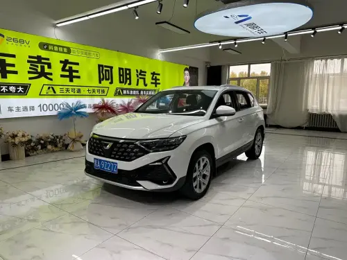 Jetta VS5, 2023