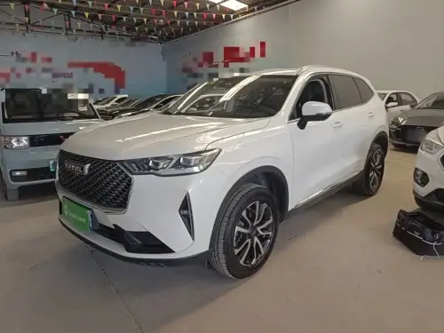 Haval H6, 2021