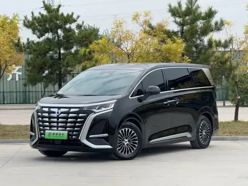 Denza D9, 2025