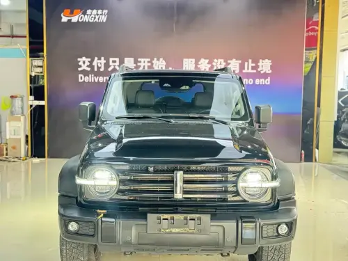 Tank 300, 2021