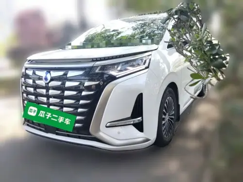 Denza D9, 2025