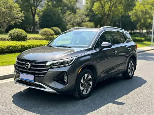 GAC GS4, 2020