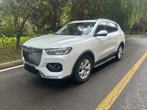 Haval H6, 2021