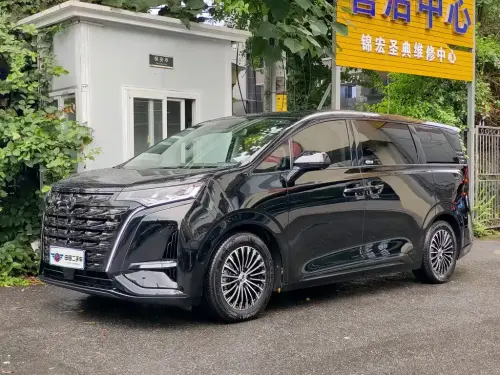 Denza D9, 2024
