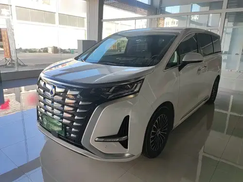Denza D9, 2024