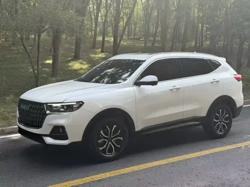 Haval H6, 2024