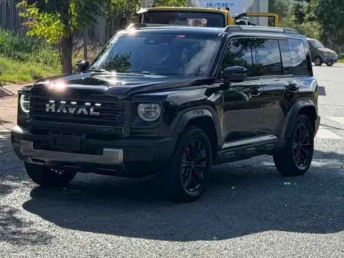 Haval Menglong, 2024