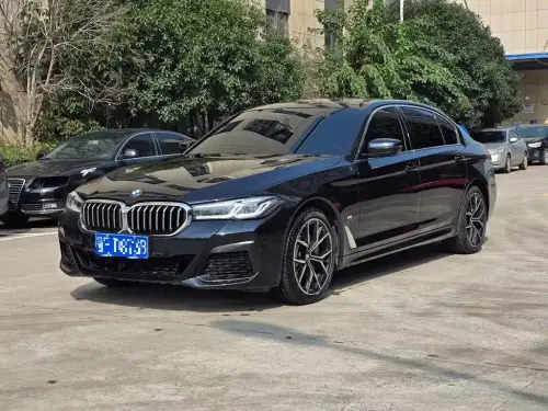 BMW 5-Series, 2021