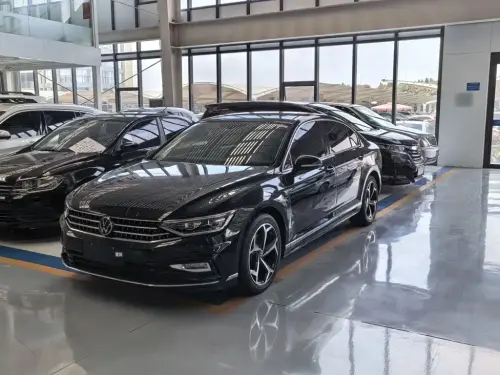 Volkswagen Magotan, 2024