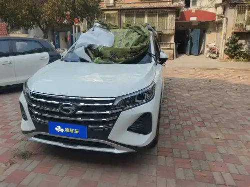 GAC GS4, 2020