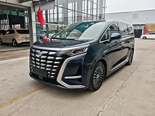 Denza D9, 2023