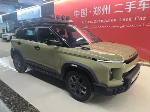 Geely Niuzai, 2024