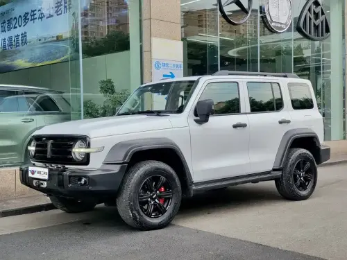 Tank 300, 2021