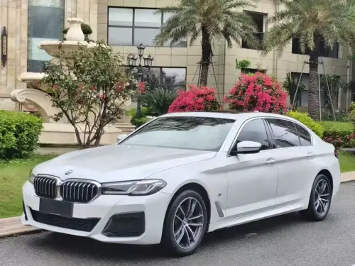 BMW 5-Series, 2021
