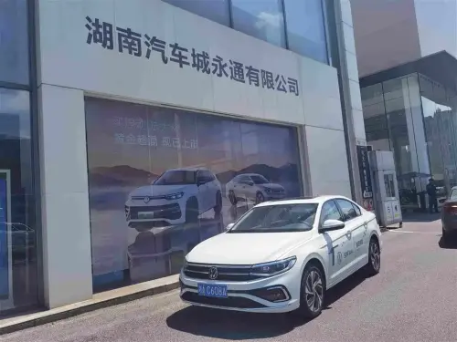 Volkswagen Bora, 2024