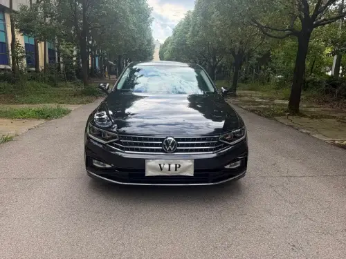 Volkswagen Magotan, 2024