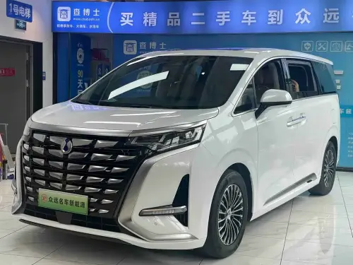 Denza D9, 2024