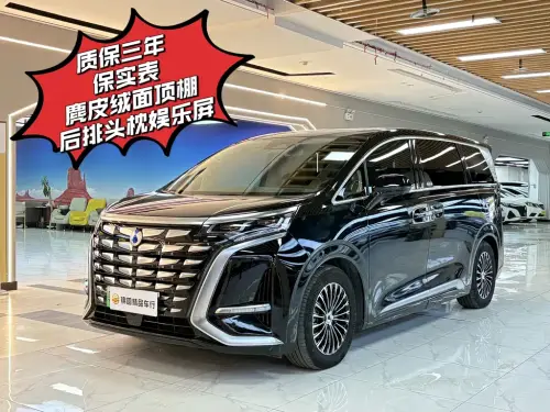 Denza D9, 2024