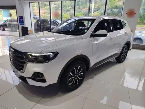 Haval H6, 2022