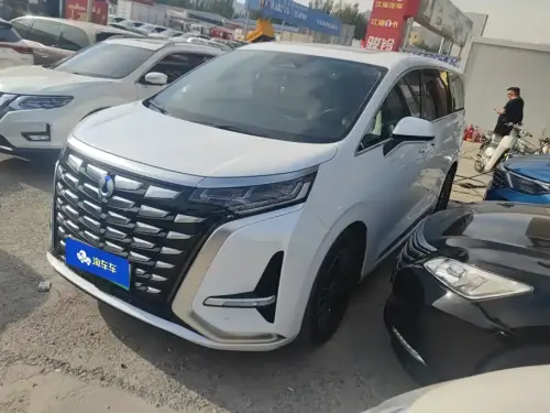 Denza D9, 2024
