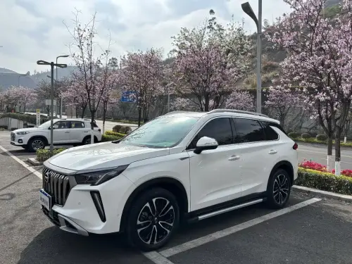 GAC GS4 PLUS, 2024