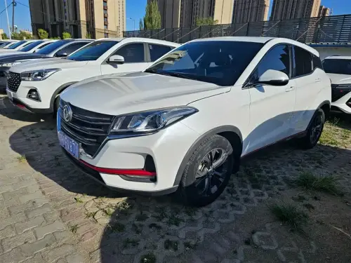 Dongfeng Fengguang 500, 2021