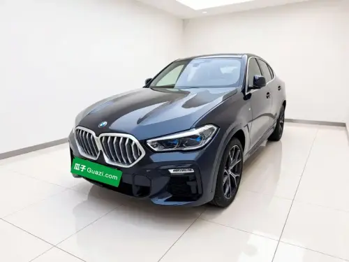 BMW X6, 2021