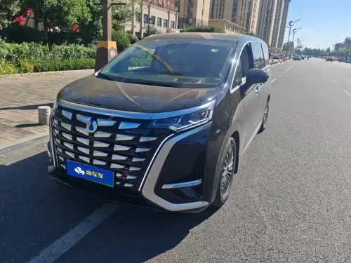 Denza D9, 2024