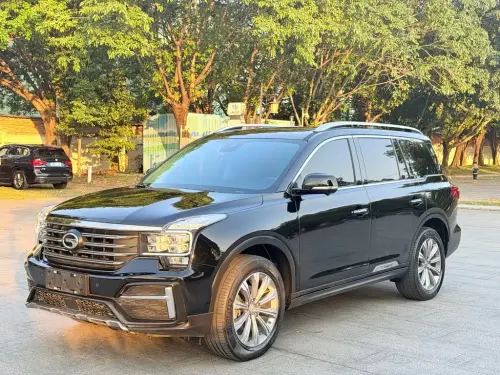 GAC GS8, 2020