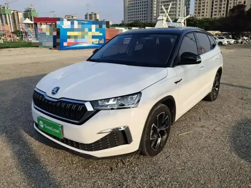 Skoda Kamiq, 2021